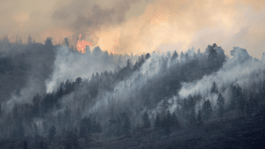 A Colorado wildfire with smoke rising from a line of trees on a mountainside